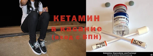 ПСИЛОЦИБИНОВЫЕ ГРИБЫ Богданович