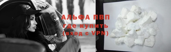 ПСИЛОЦИБИНОВЫЕ ГРИБЫ Богданович