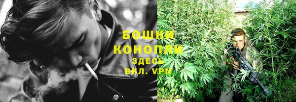 ПСИЛОЦИБИНОВЫЕ ГРИБЫ Богданович