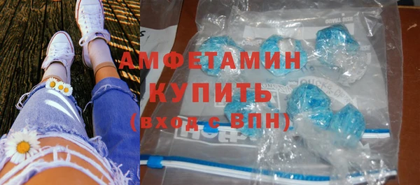 ПСИЛОЦИБИНОВЫЕ ГРИБЫ Богданович