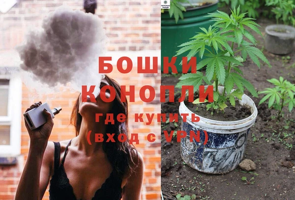 сатива Богородицк