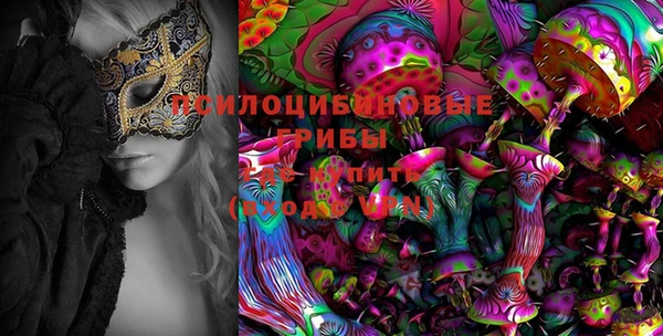сатива Богородицк